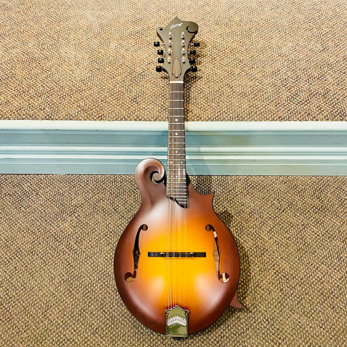Collings MF Mandolin