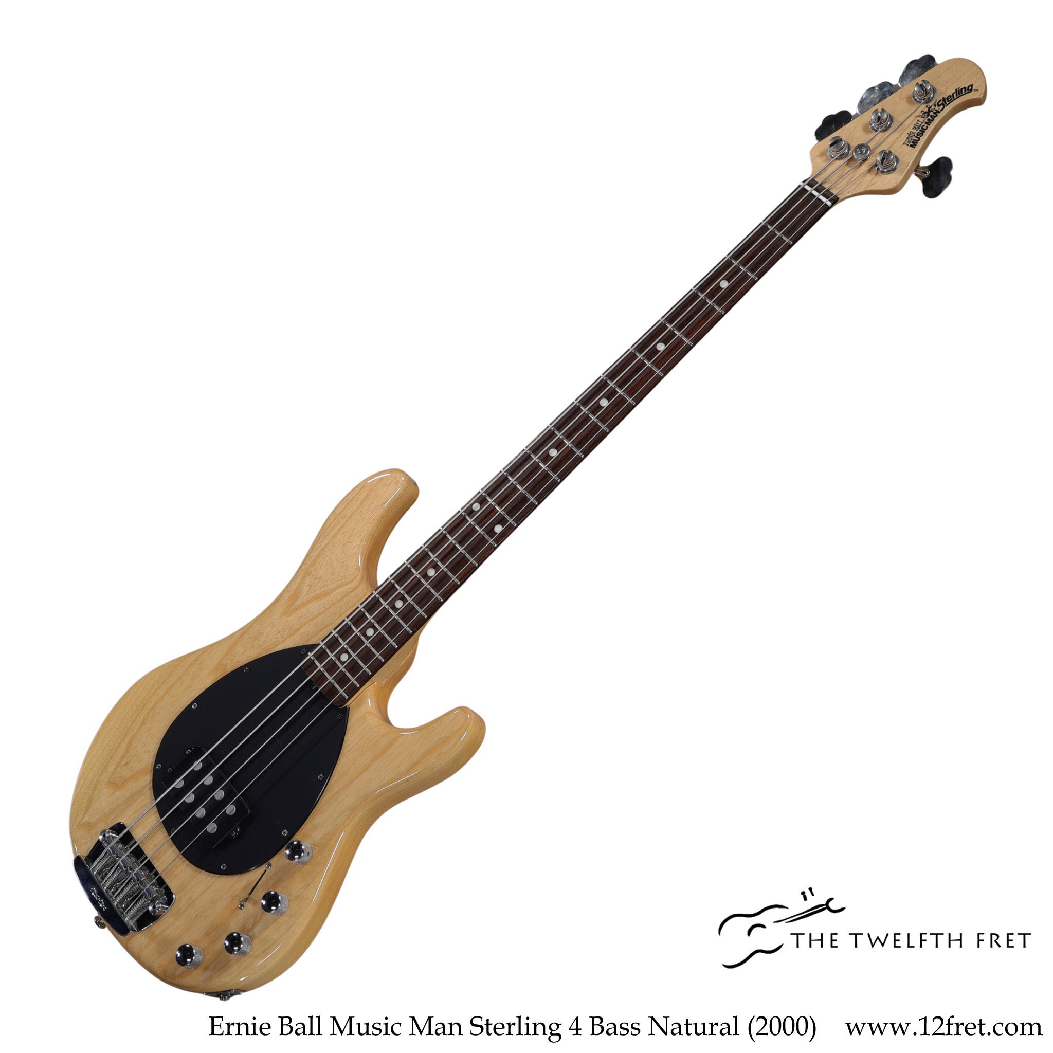 BASS GUITARS