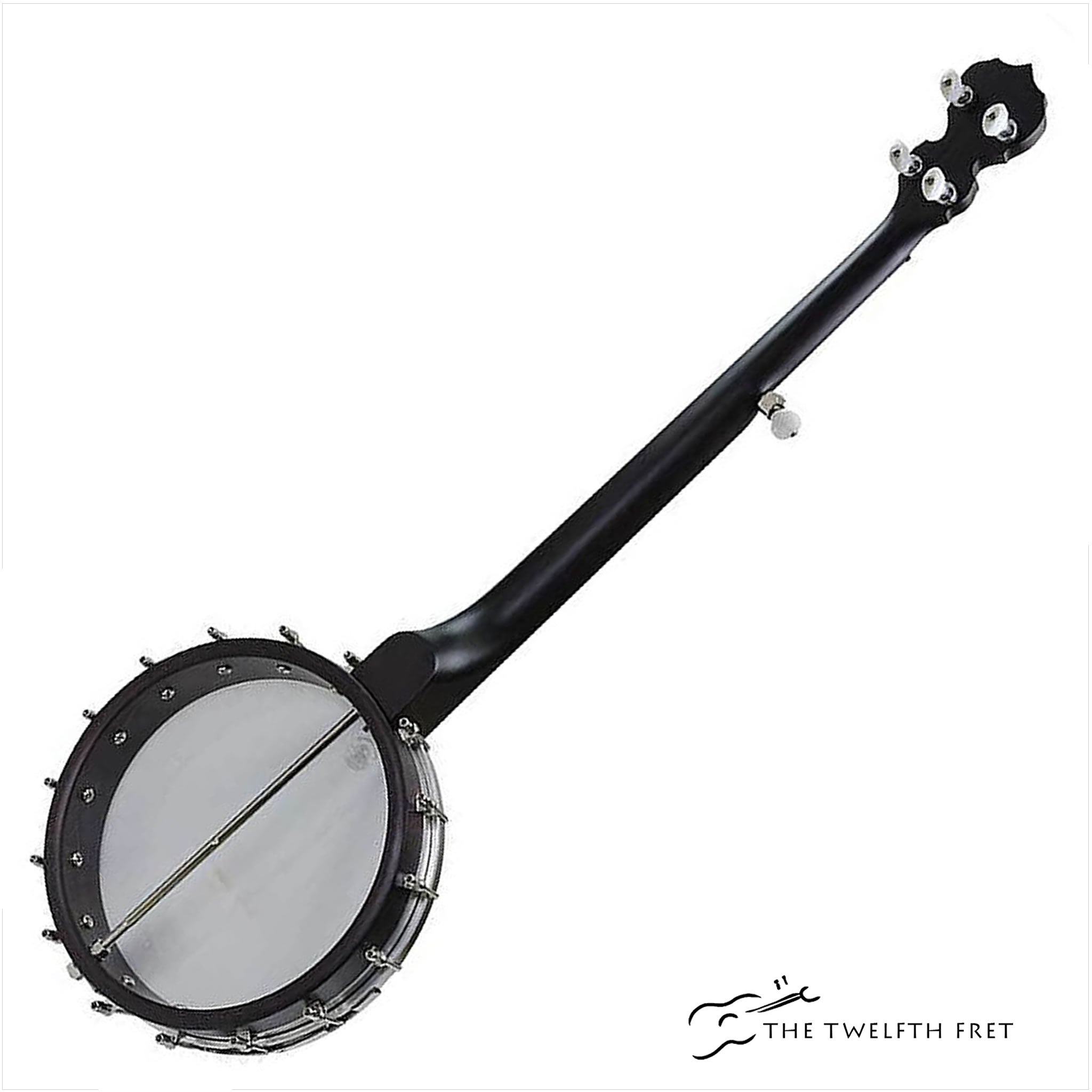 Deering Artisan Goodtime Special Fretless Banjo - The Twelfth Fret