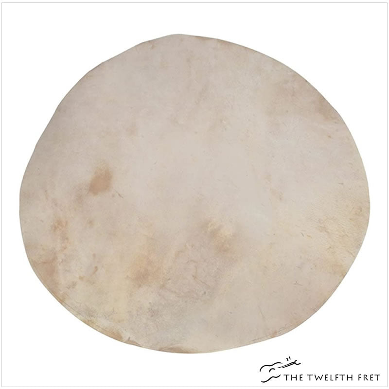 Golden Gate P-198 Flat Goatskin Banjo Head - The Twelfth Fret