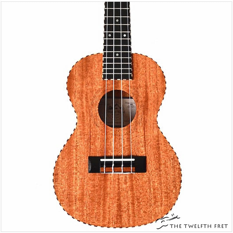 Twisted Wood Twisted Original Ukulele - The Twelfth Fret