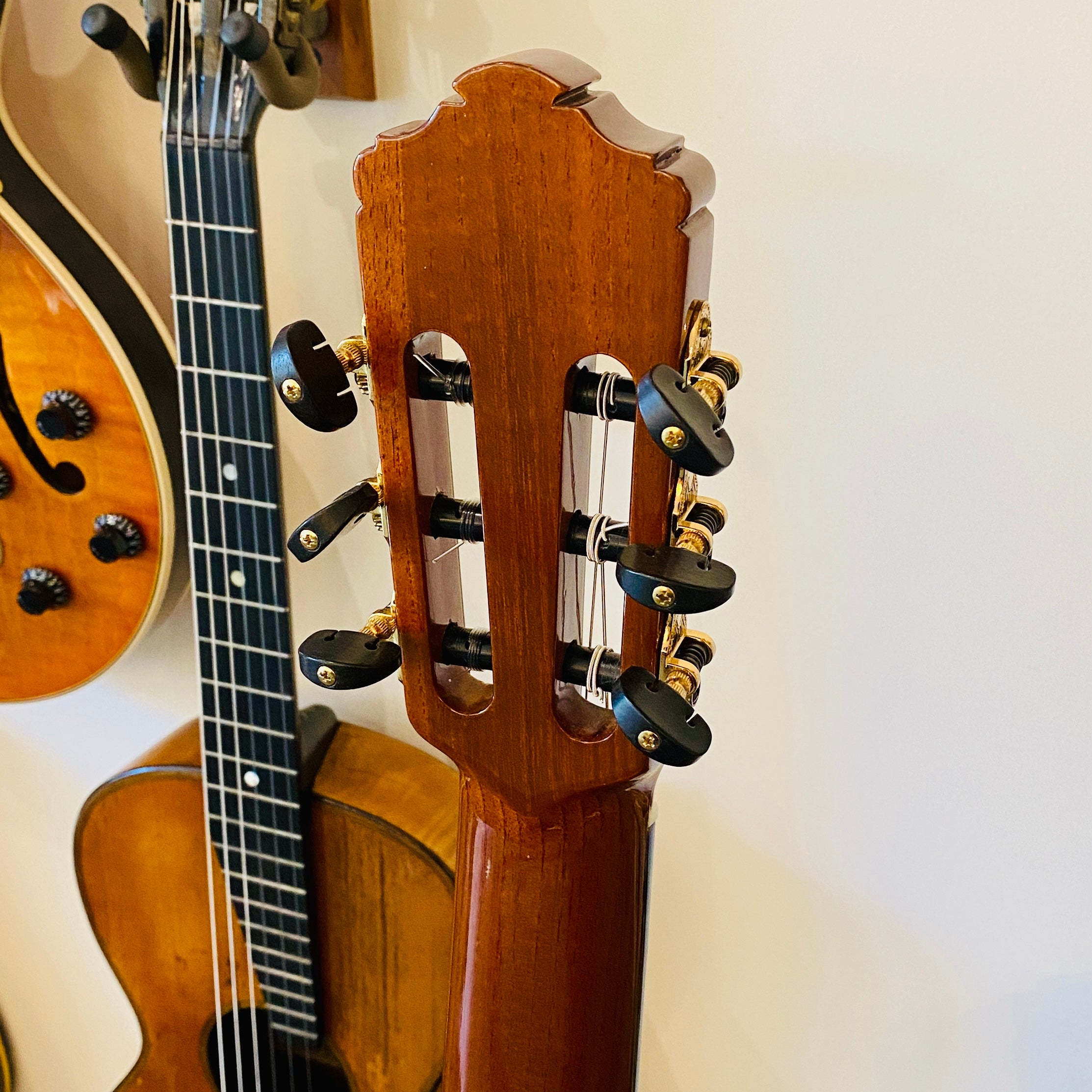 Cervantes Milenia Concert Classical Guitar, 2011  [USED]