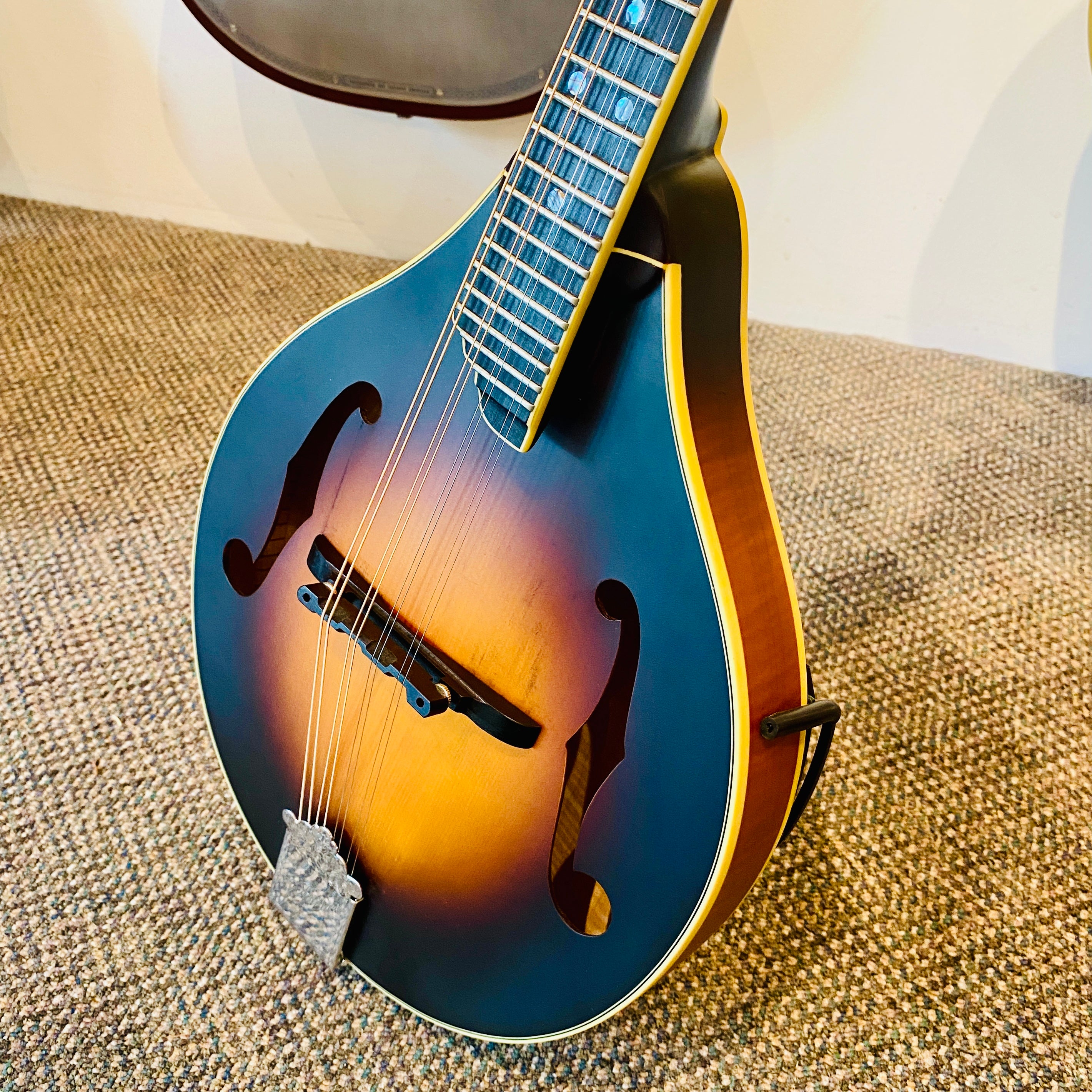 J. Bovier A5-X A Style Mandolin 2012 [USED]