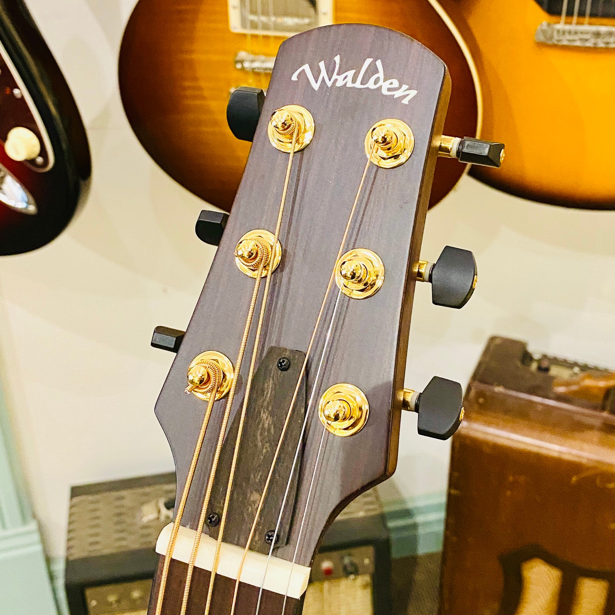 Walden BB103E-H Baritone Acoustic Guitar