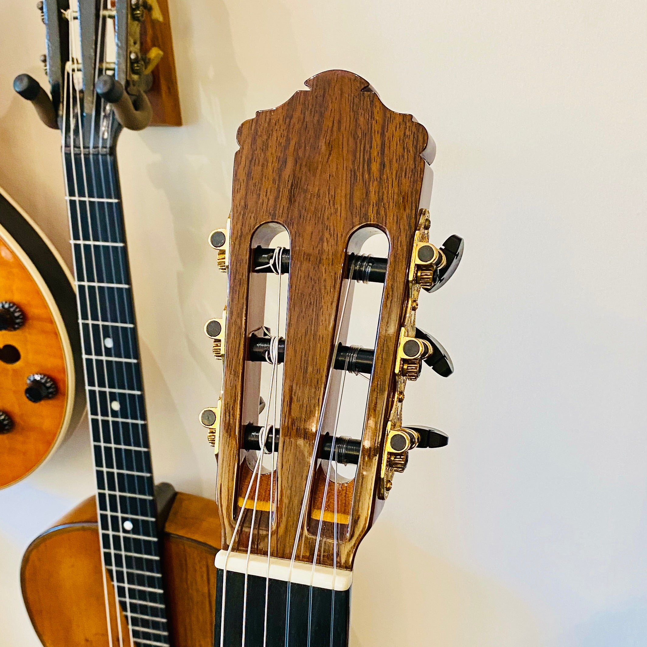 Cervantes Milenia Concert Classical Guitar, 2011  [USED]