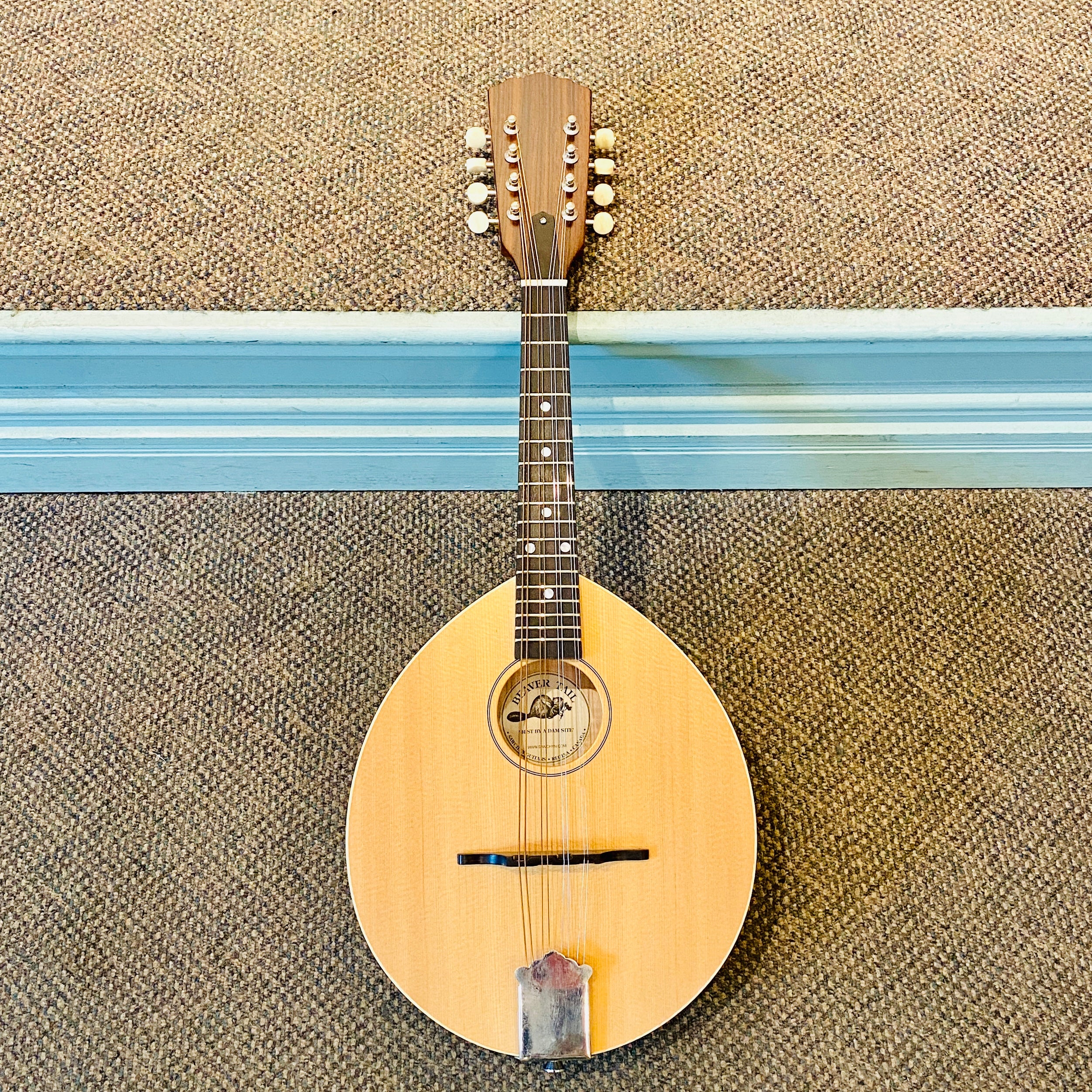 Sawchyn Beavertail Flat Top Mandolin 2018 [USED]