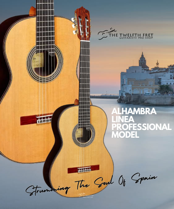 The Twelfth Fret - Guitarists' Pro Shop