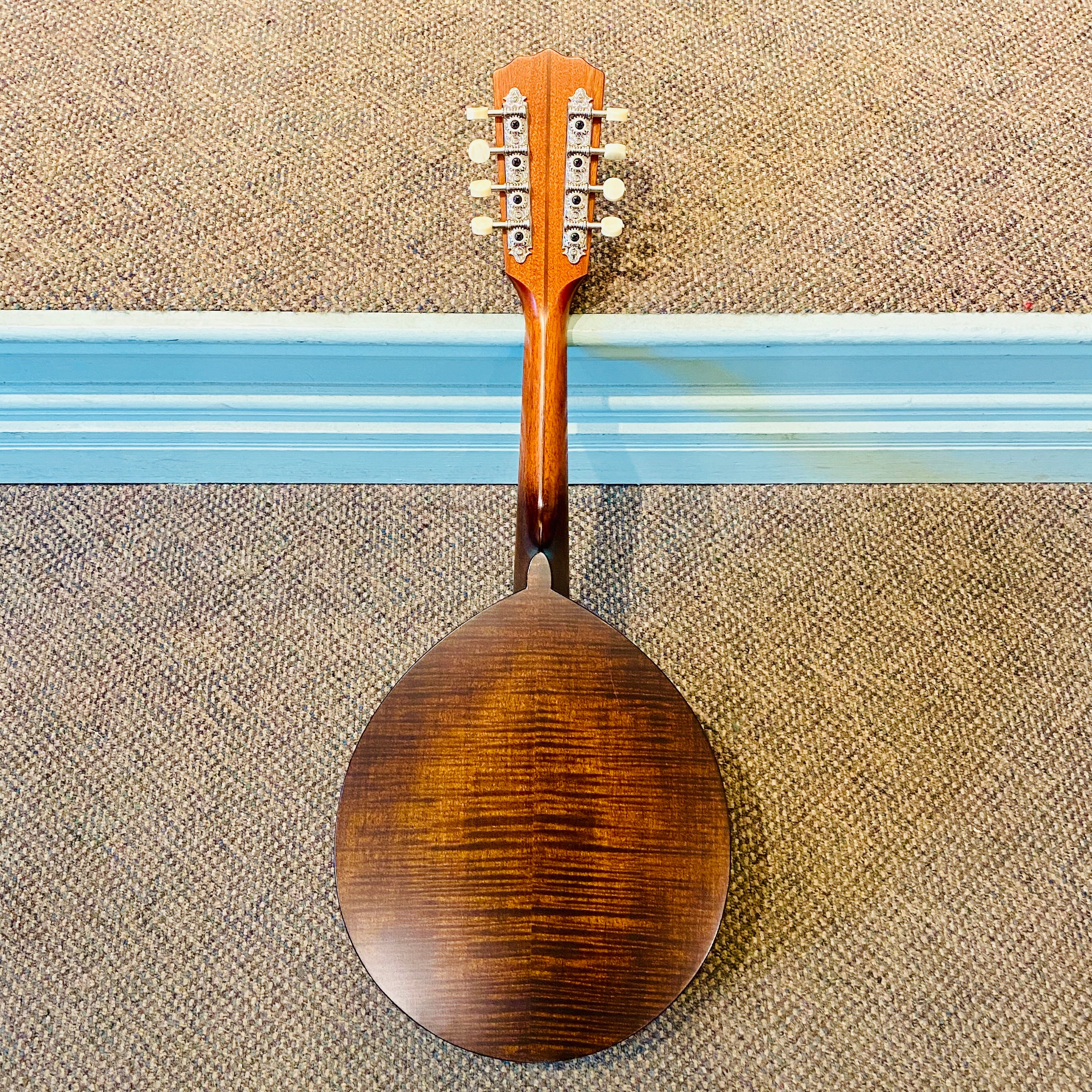 Sawchyn Beavertail Flat Top Mandolin 2018 [USED]