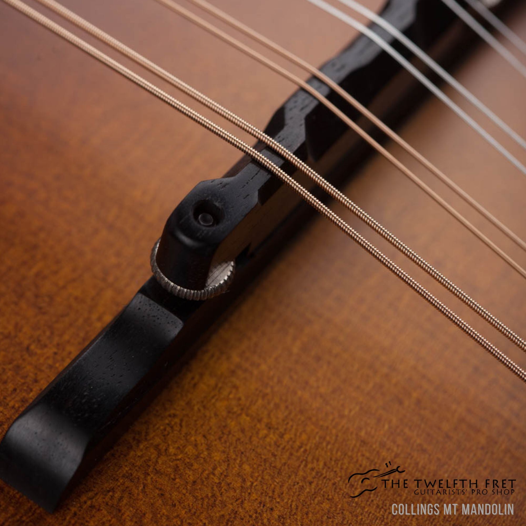 Collings MT Mandolin - The Twelfth Fret