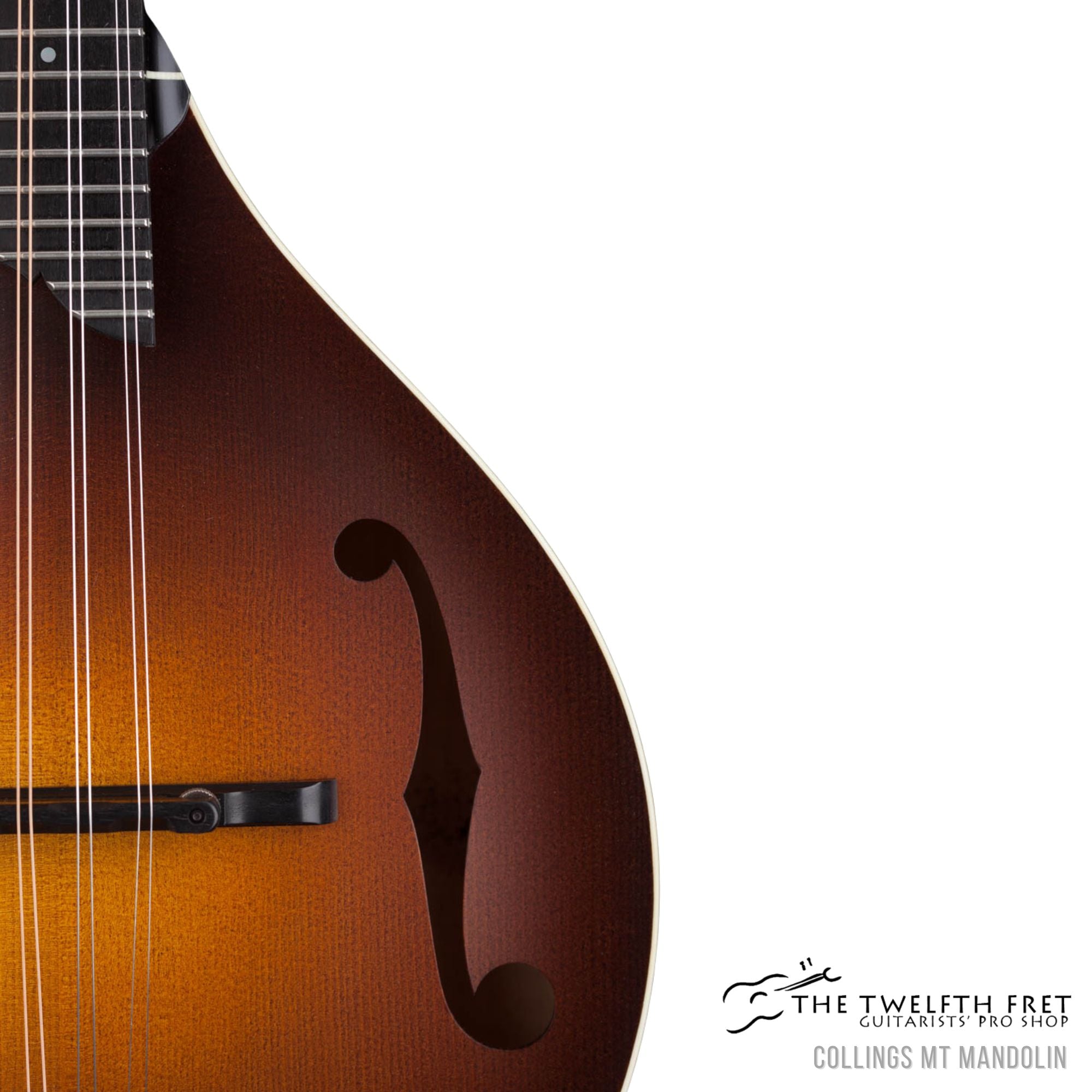Collings MT Mandolin - The Twelfth Fret