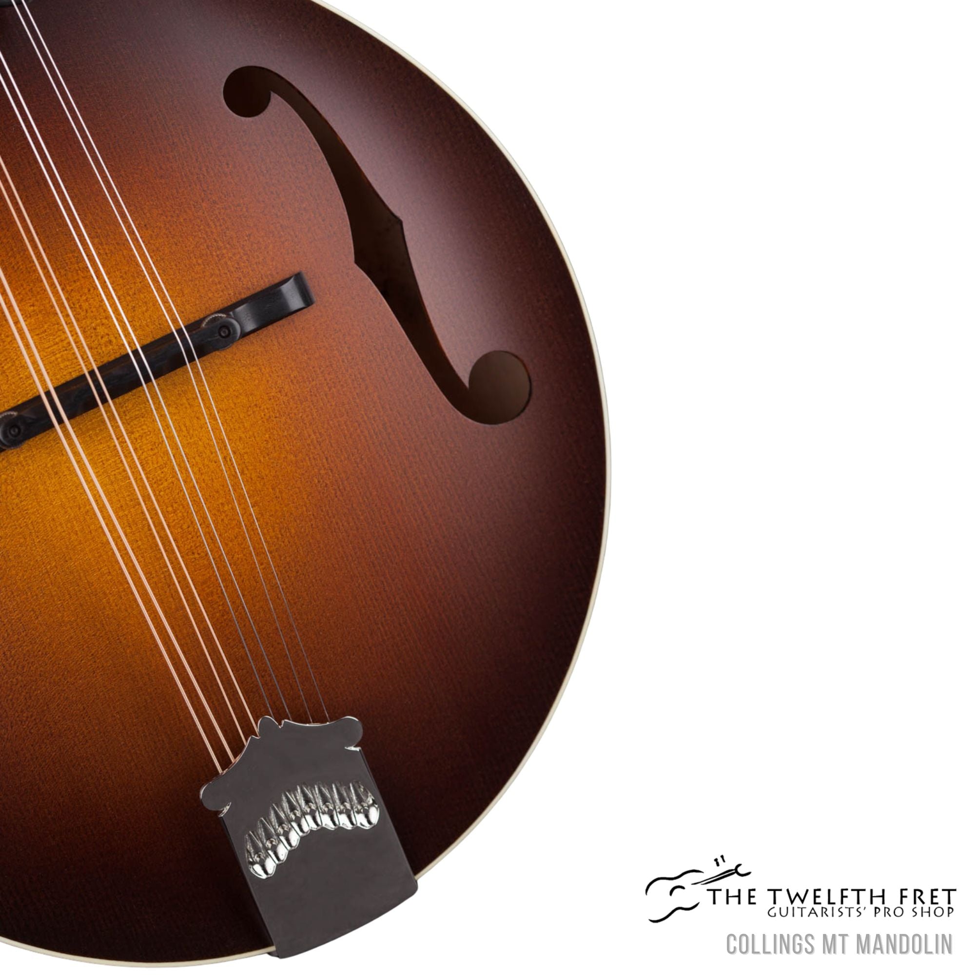 Collings MT Mandolin - The Twelfth Fret