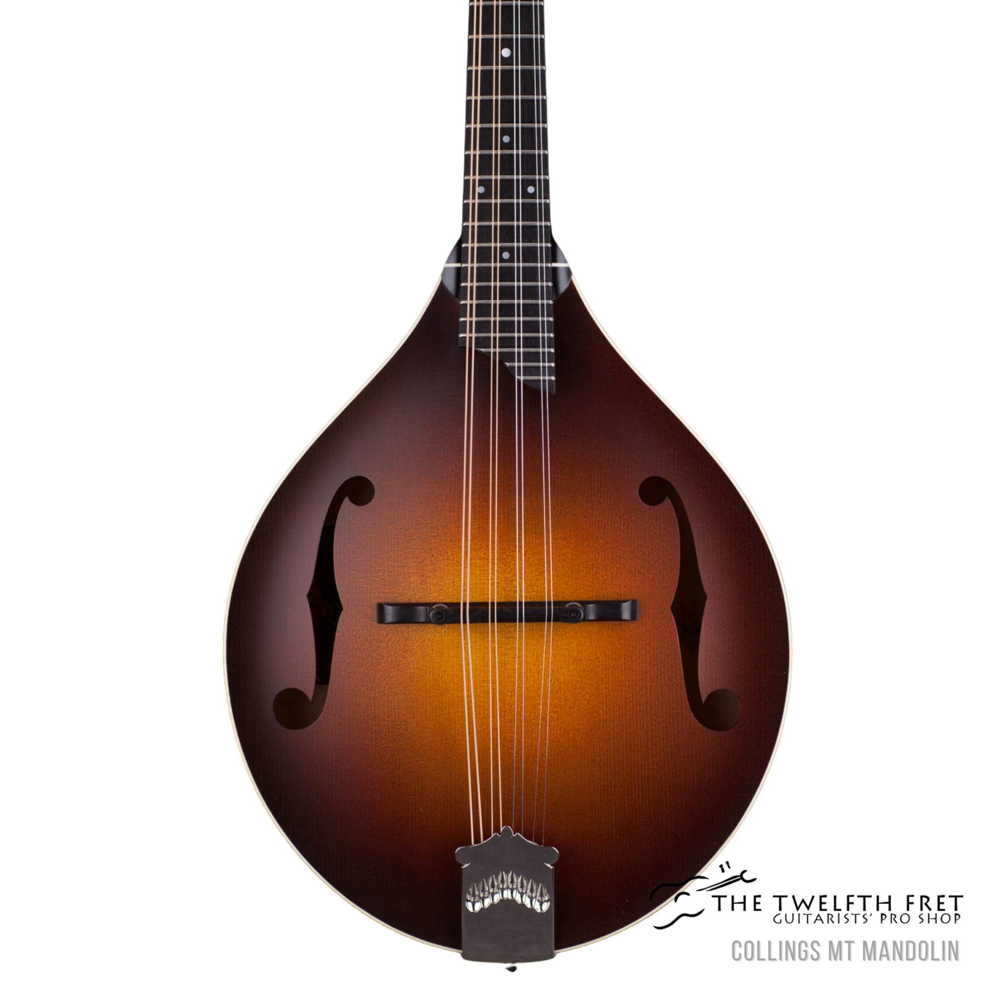 Collings MT Mandolin - The Twelfth Fret