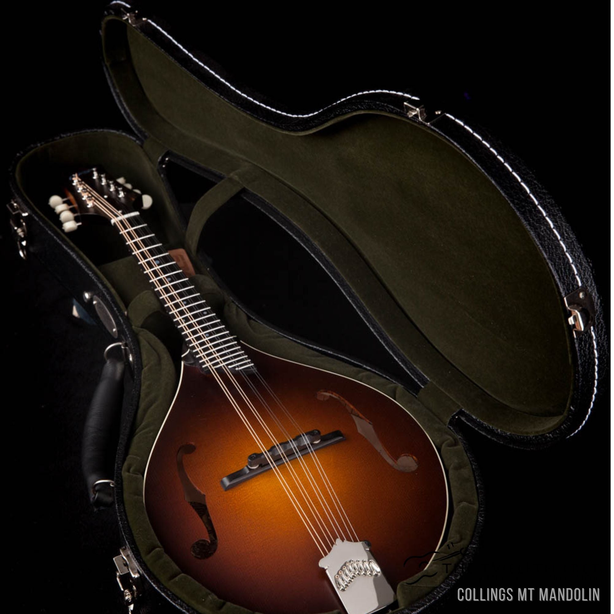 Collings MT Mandolin - The Twelfth Fret