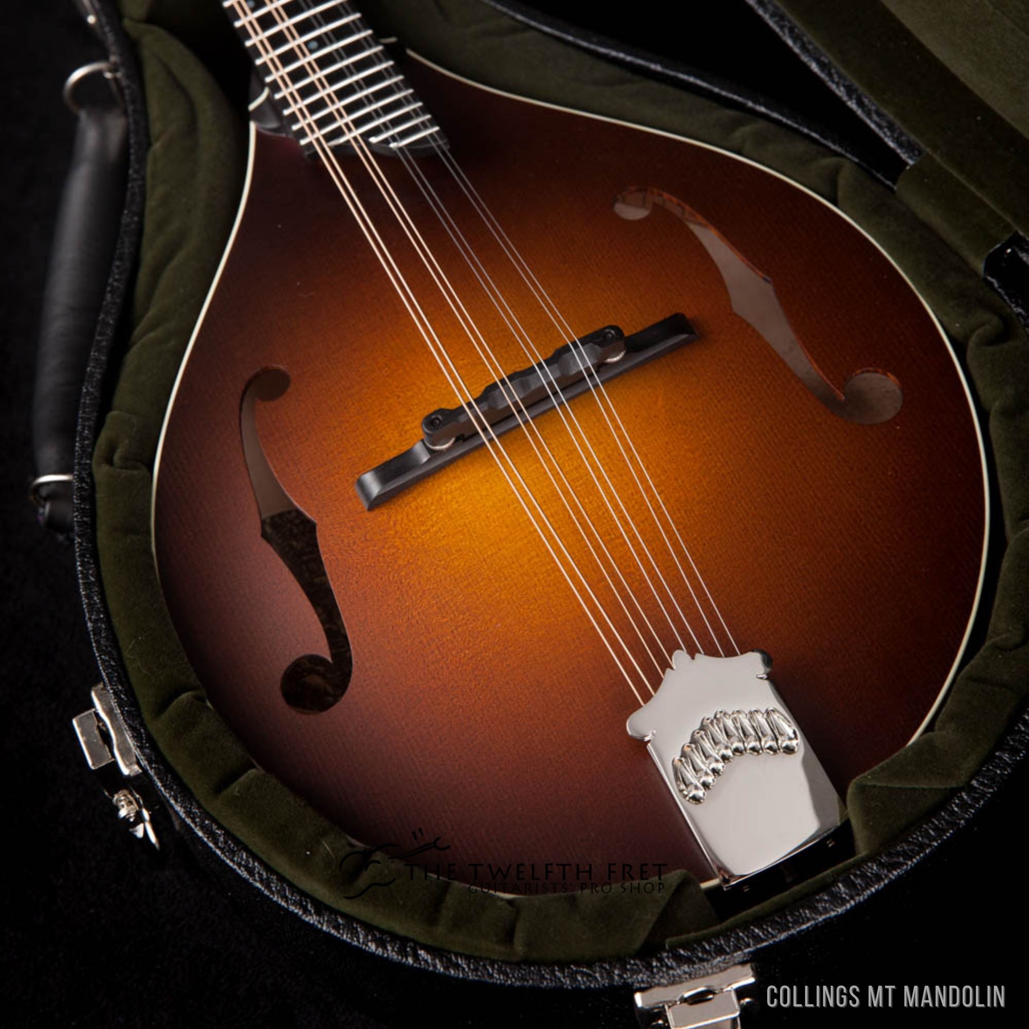 Collings MT Mandolin - The Twelfth Fret