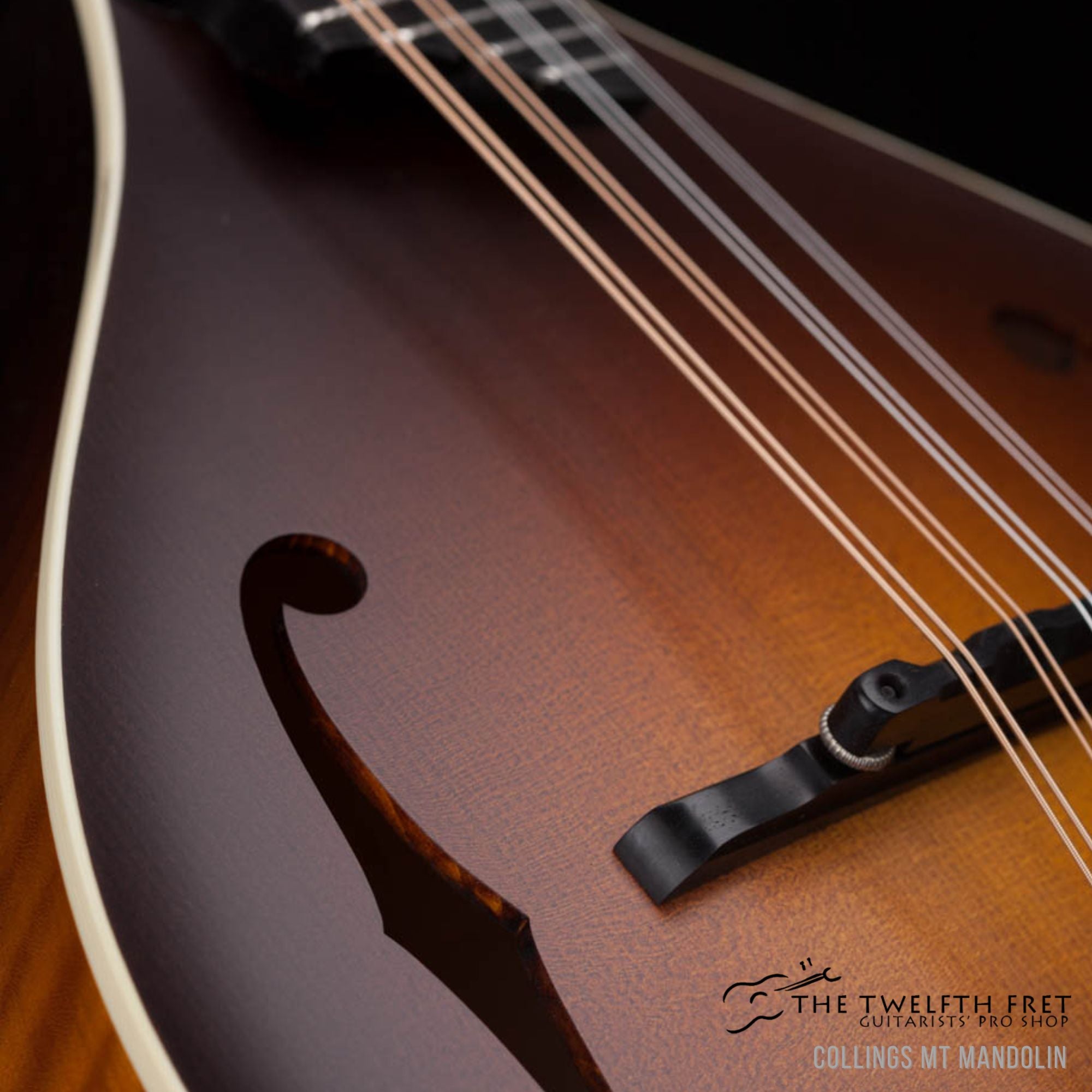 Collings MT Mandolin - The Twelfth Fret