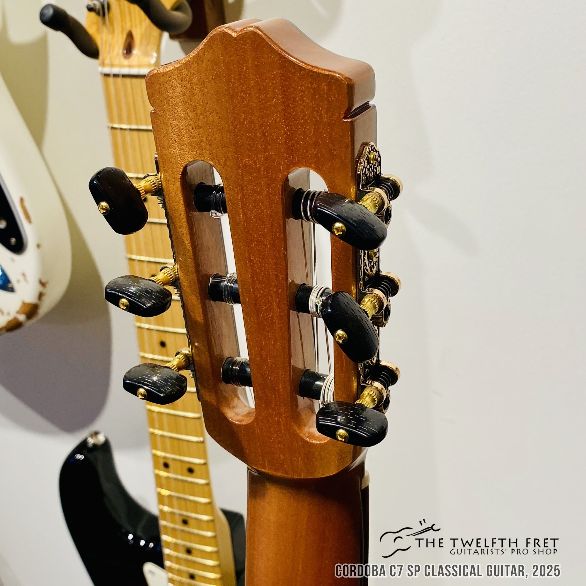 Cordoba C7 SP Classical Guitar, 2025 - The Twelfth Fret