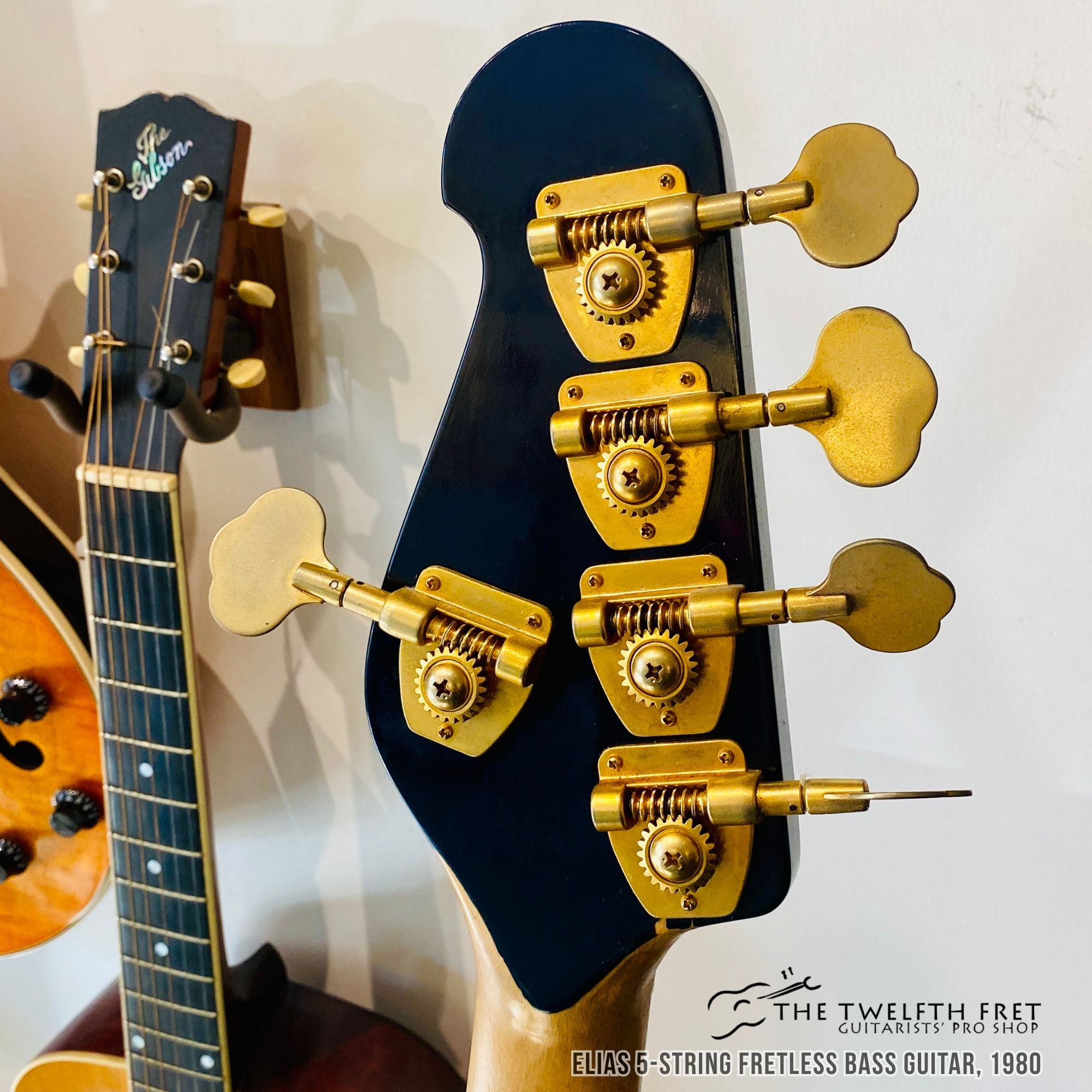 Elias 5 String Fretless Bass Guitar, 1980 - The Twelfth Fret