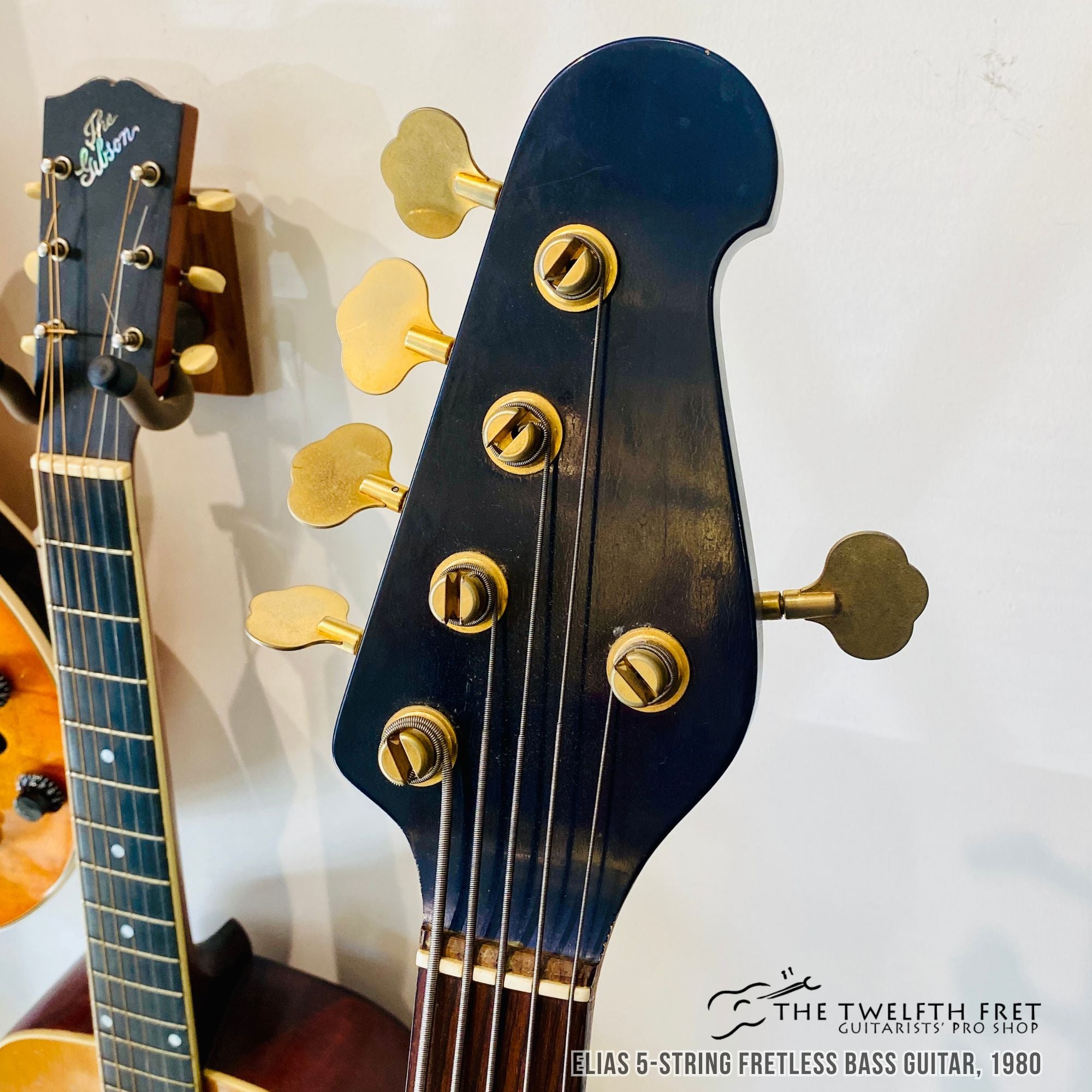 Elias 5 String Fretless Bass Guitar, 1980 - The Twelfth Fret