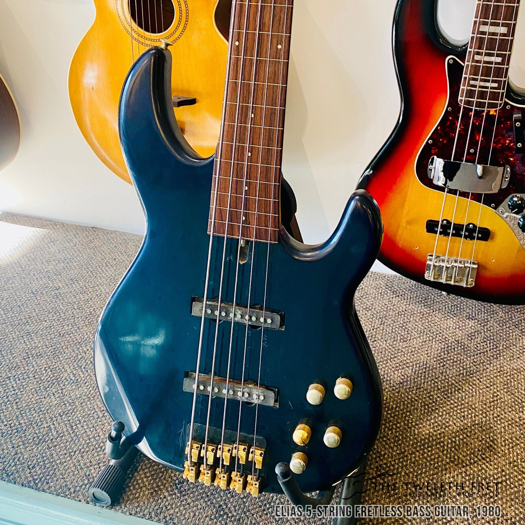 Elias 5 String Fretless Bass Guitar, 1980 - The Twelfth Fret