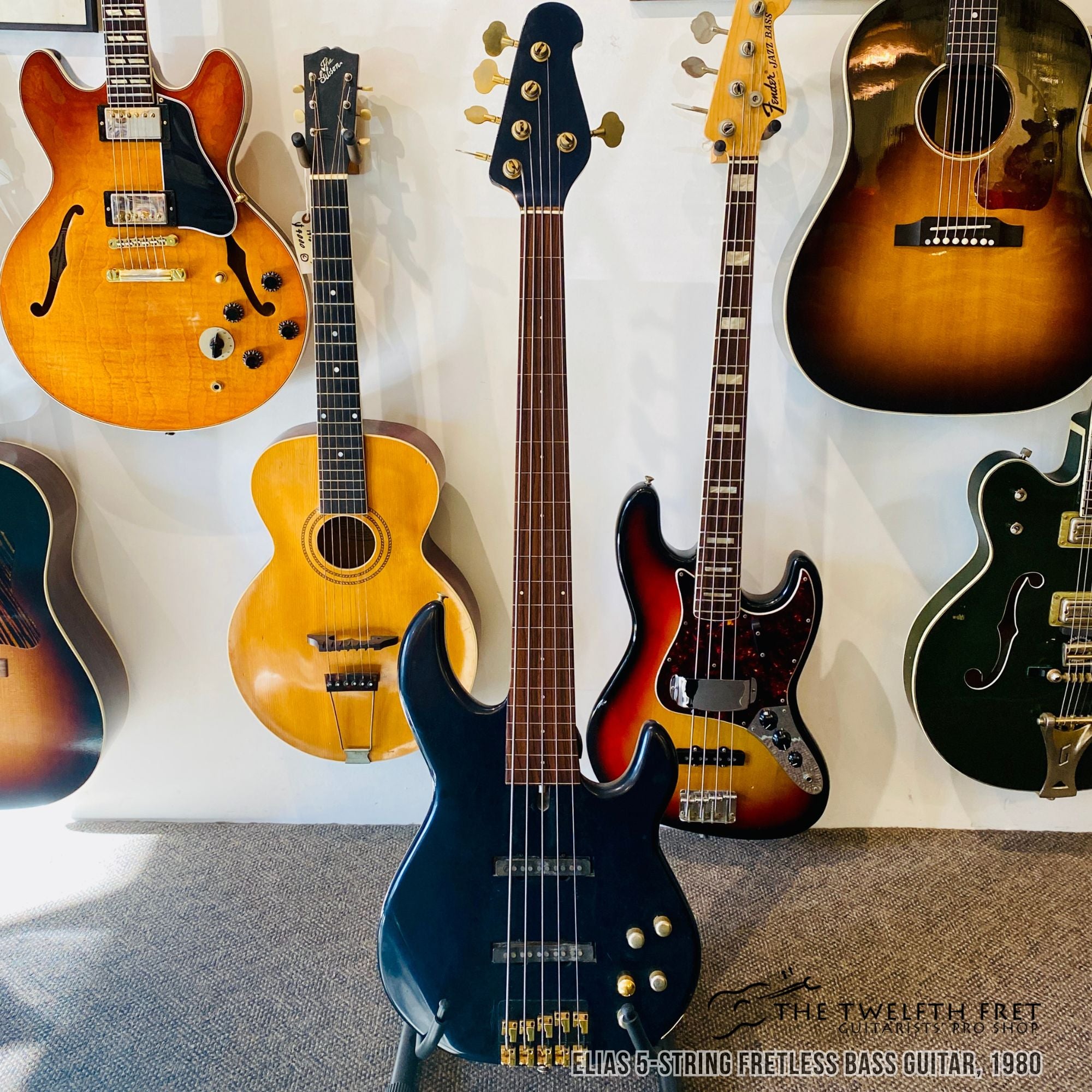 Elias 5 String Fretless Bass Guitar, 1980 - The Twelfth Fret