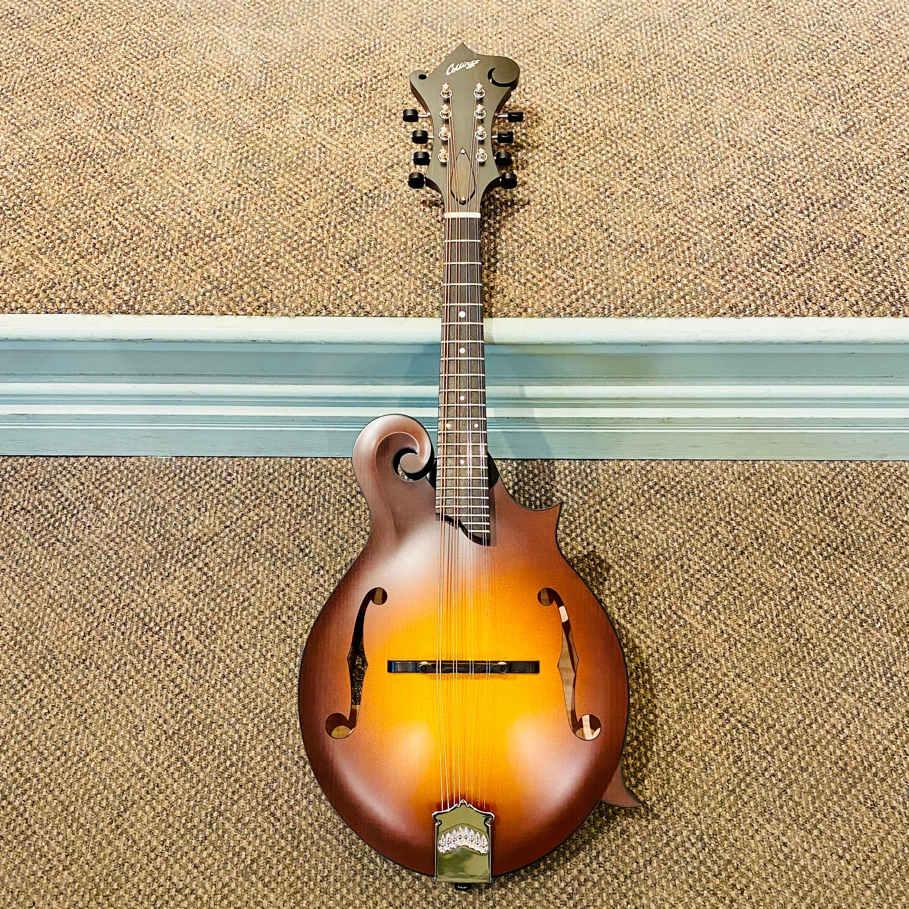 Collings MF Mandolin