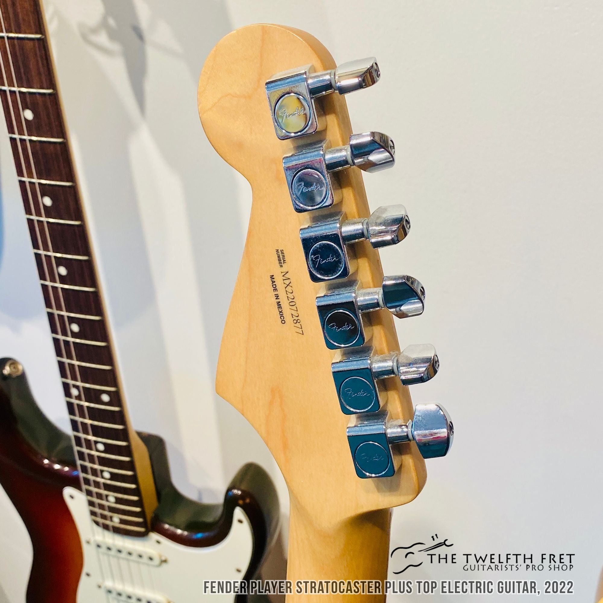 Fender Player Stratocaster Plus Top Electric Guitar 2022  - The Twelfth Fret