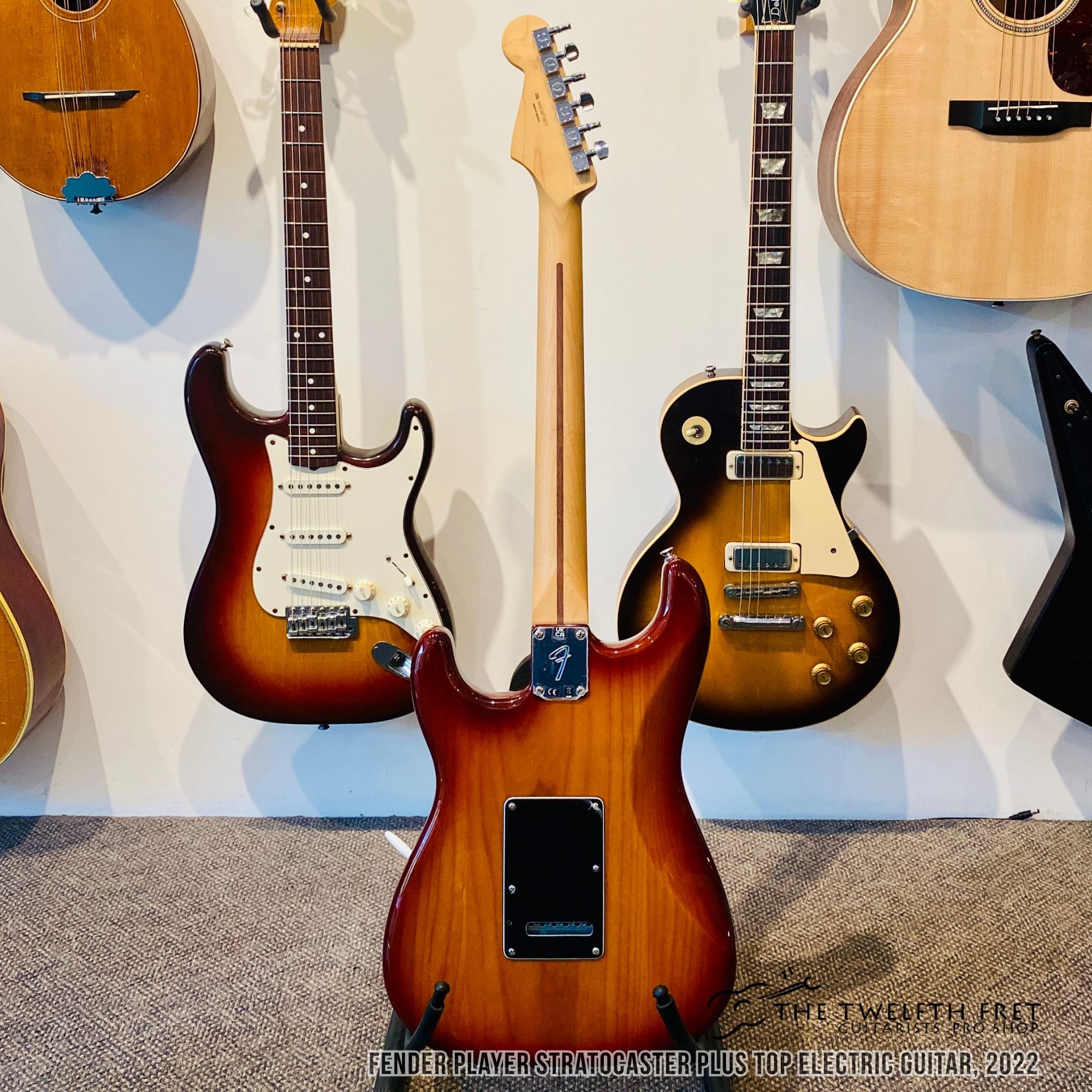 Fender Player Stratocaster Plus Top Electric Guitar 2022  - The Twelfth Fret