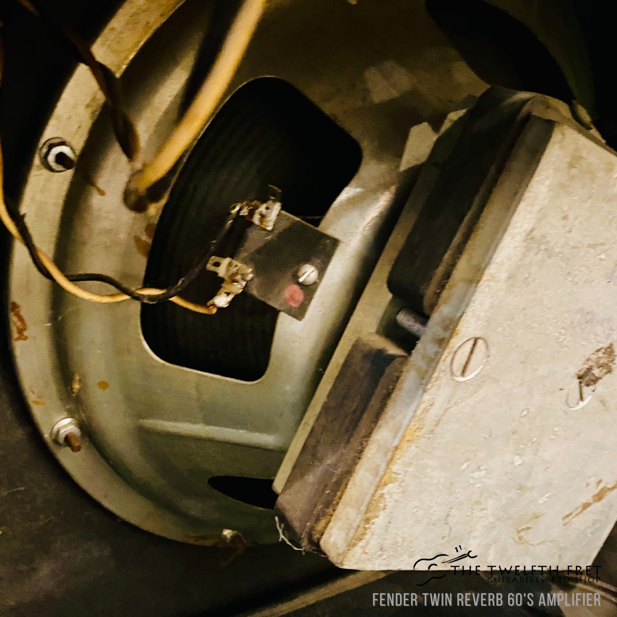 Fender Twin Reverb 60's Amplifier - The Twelfth Fret