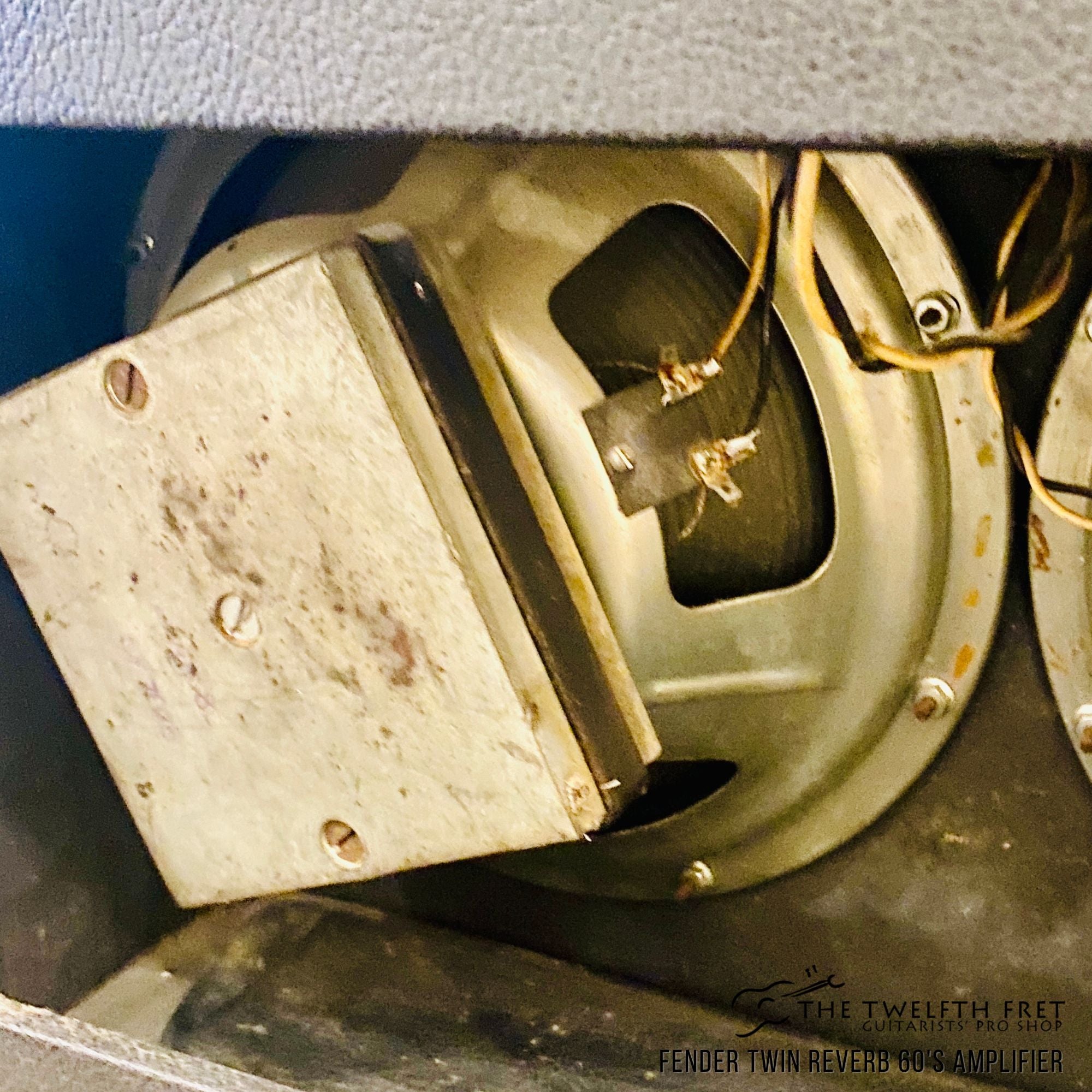 Fender Twin Reverb 60's Amplifier - The Twelfth Fret