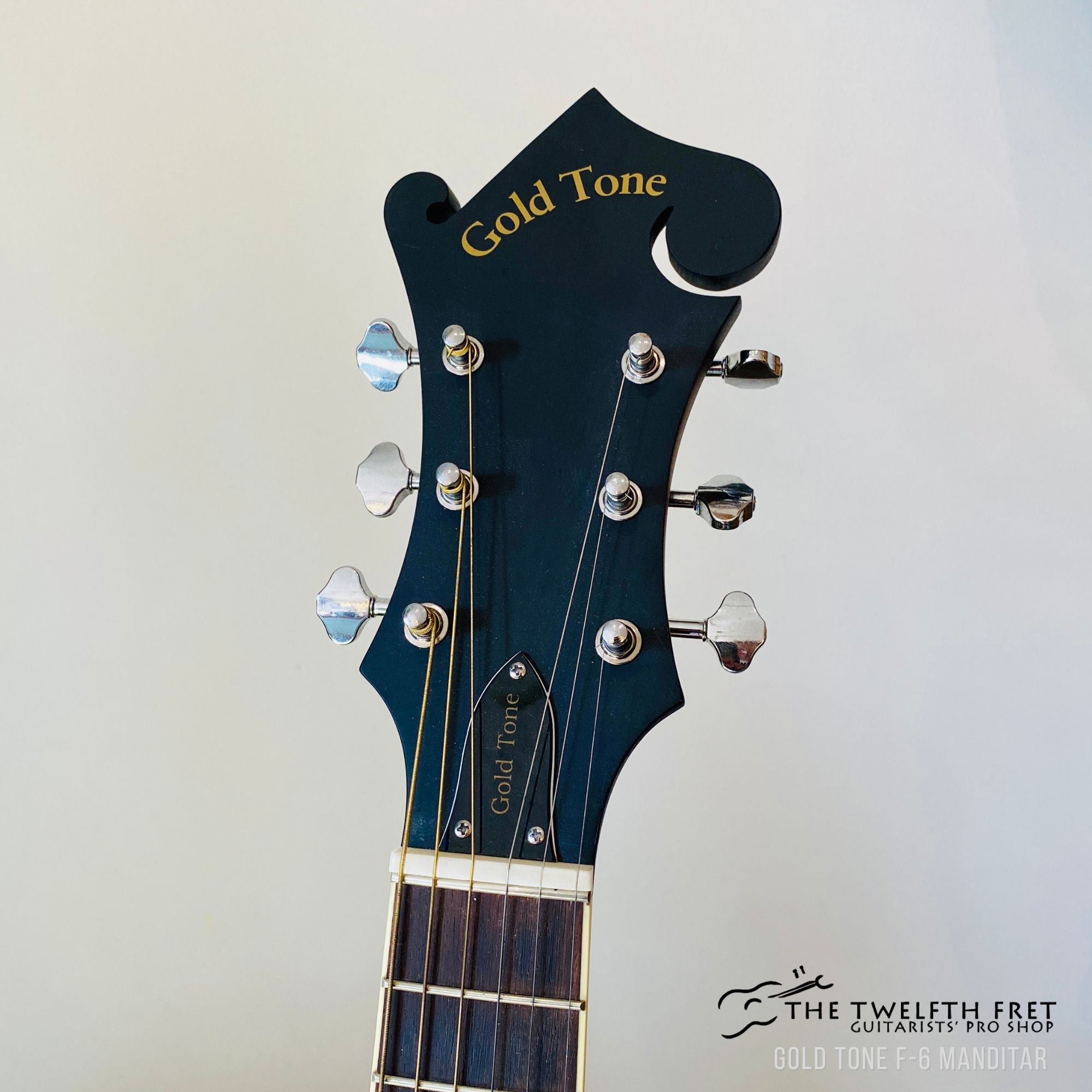 Gold Tone F-6 Manditar - The Twelfth Fret