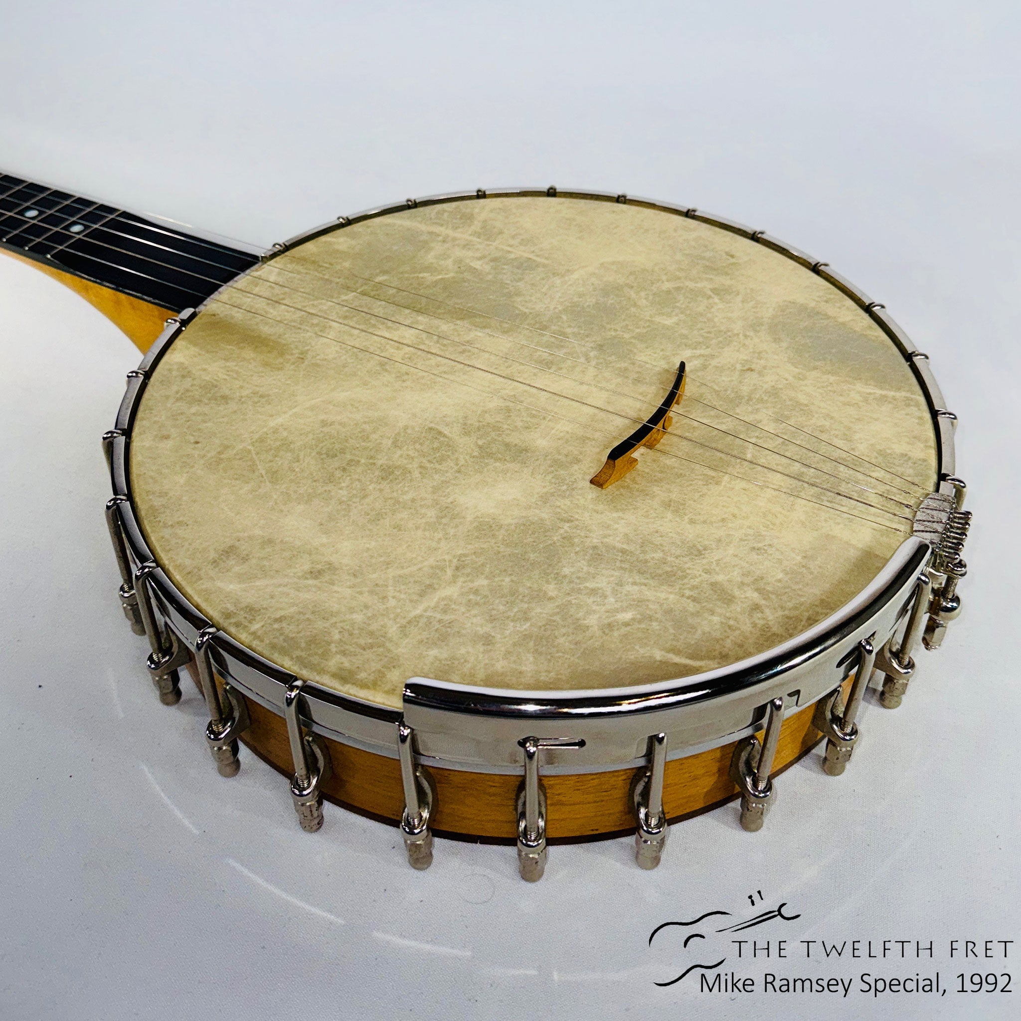 Mike Ramsey Special Openback Banjo Fretless Conversion, 1992 [USED] - The Twelfth Fret