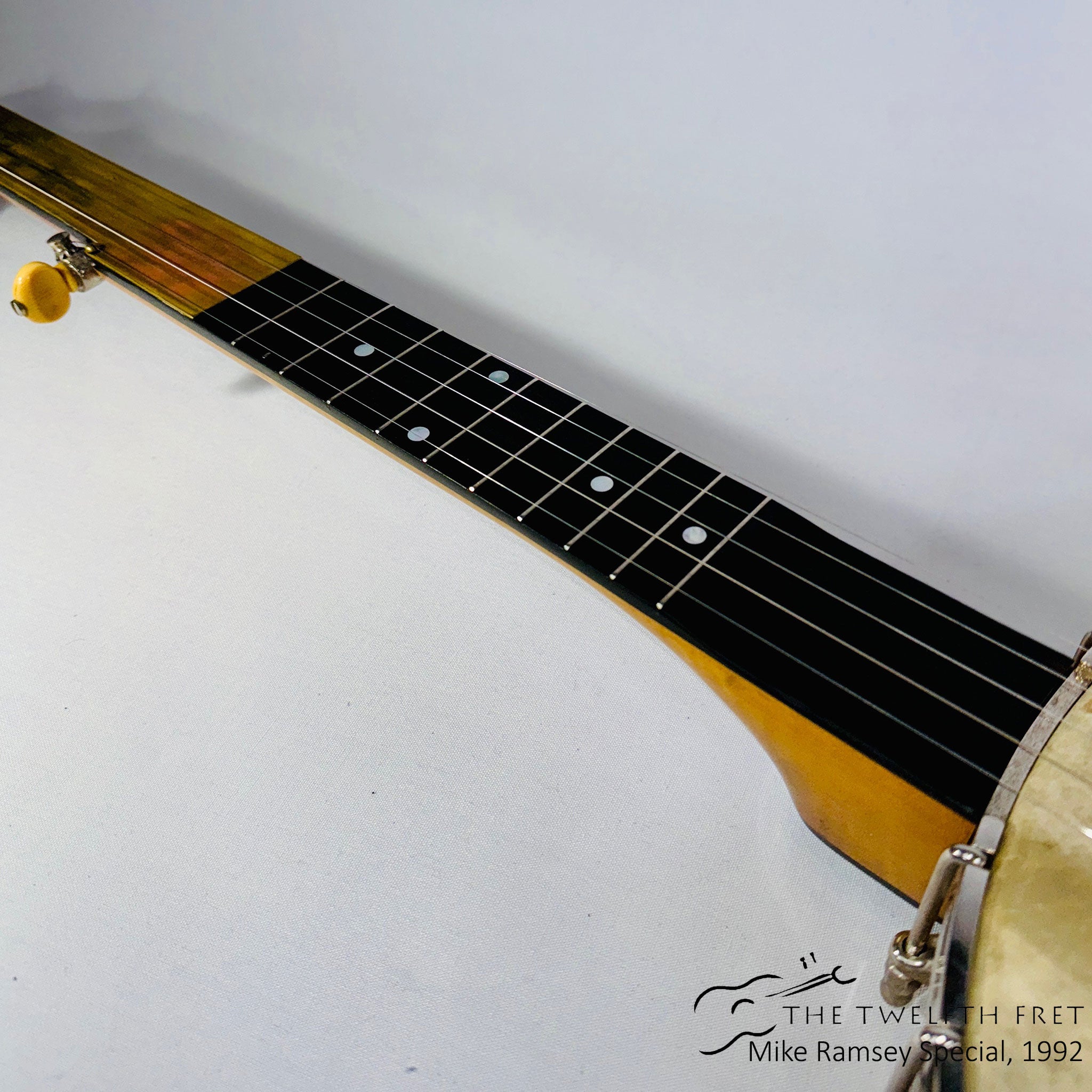 Mike Ramsey Special Openback Banjo Fretless Conversion, 1992 [USED] - The Twelfth Fret