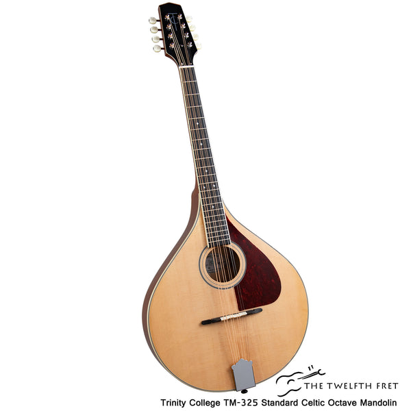Capotasto Graph Tech TUSQ Per Mandolino | PQ-1530-00 A Slot Nuovo - Foto 2