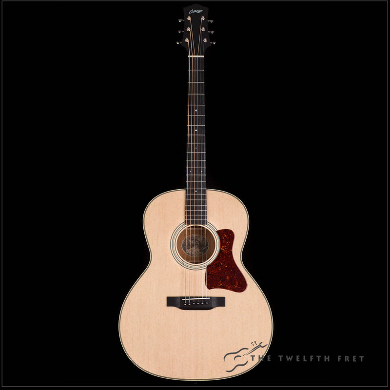 Collings C100 - The Twelfth Fret