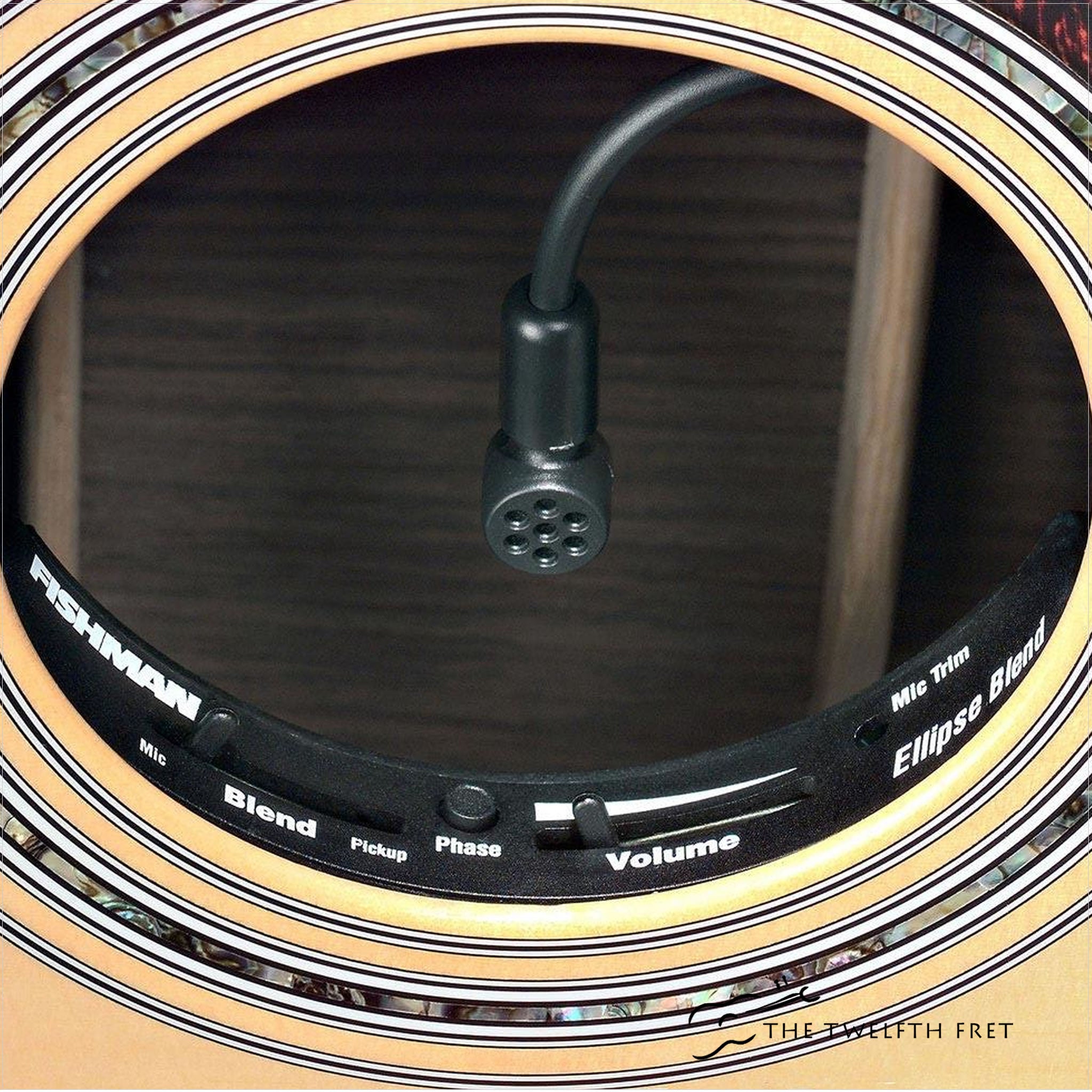 FISHMAN Ellipse Matrix Blendピックアップシステム Fishman Ellipse Matrix Blend Pickup Preamp System - The