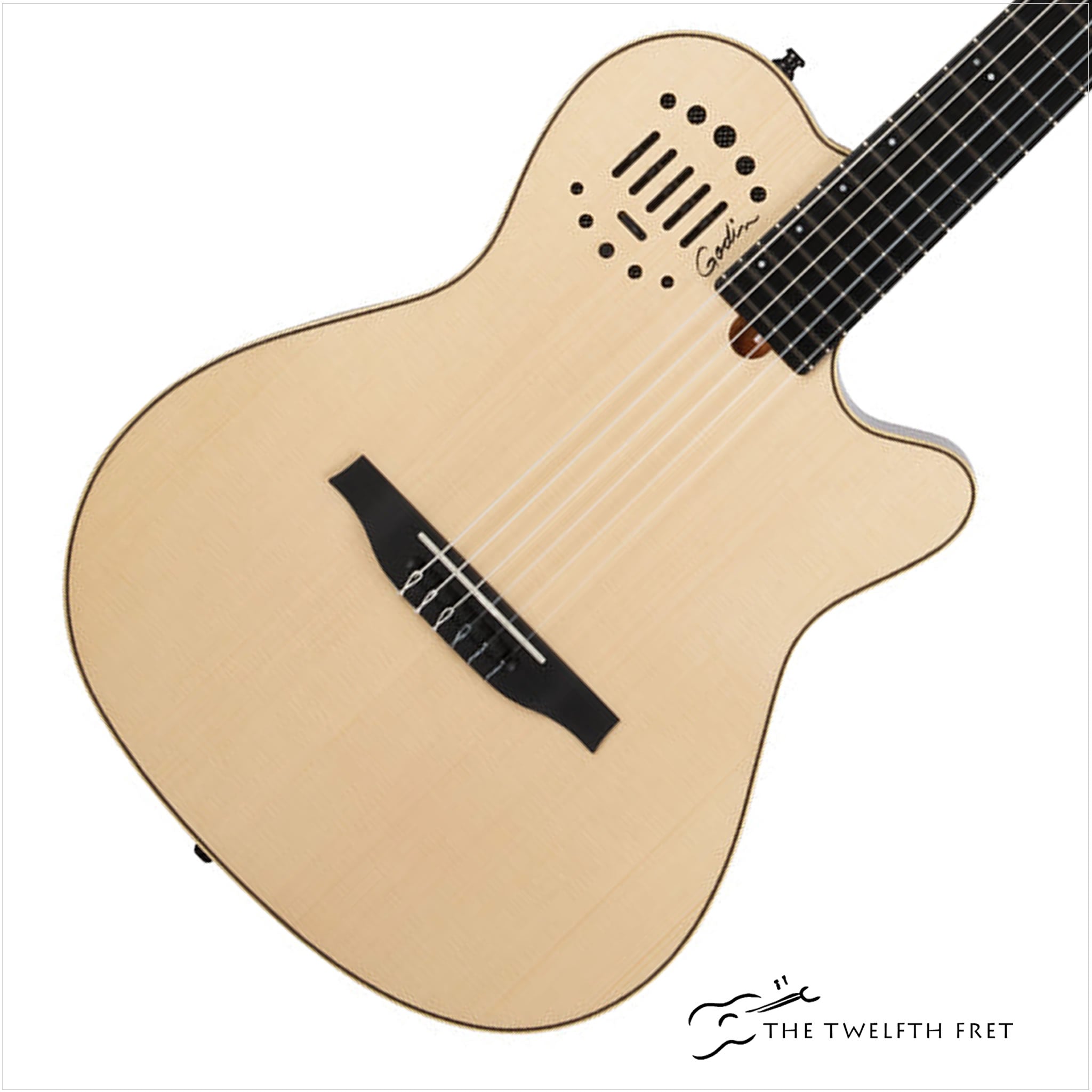 Godin Multiac Nylon Duet Ambiance - The Twelfth Fret