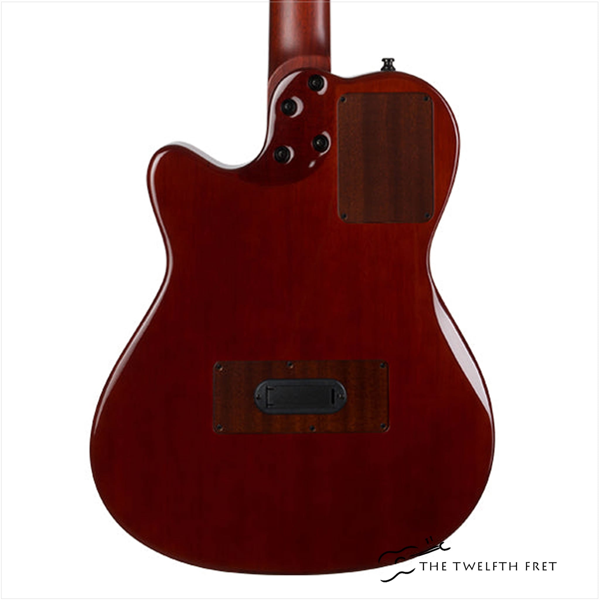 Godin Multiac Nylon Duet Ambiance - The Twelfth Fret