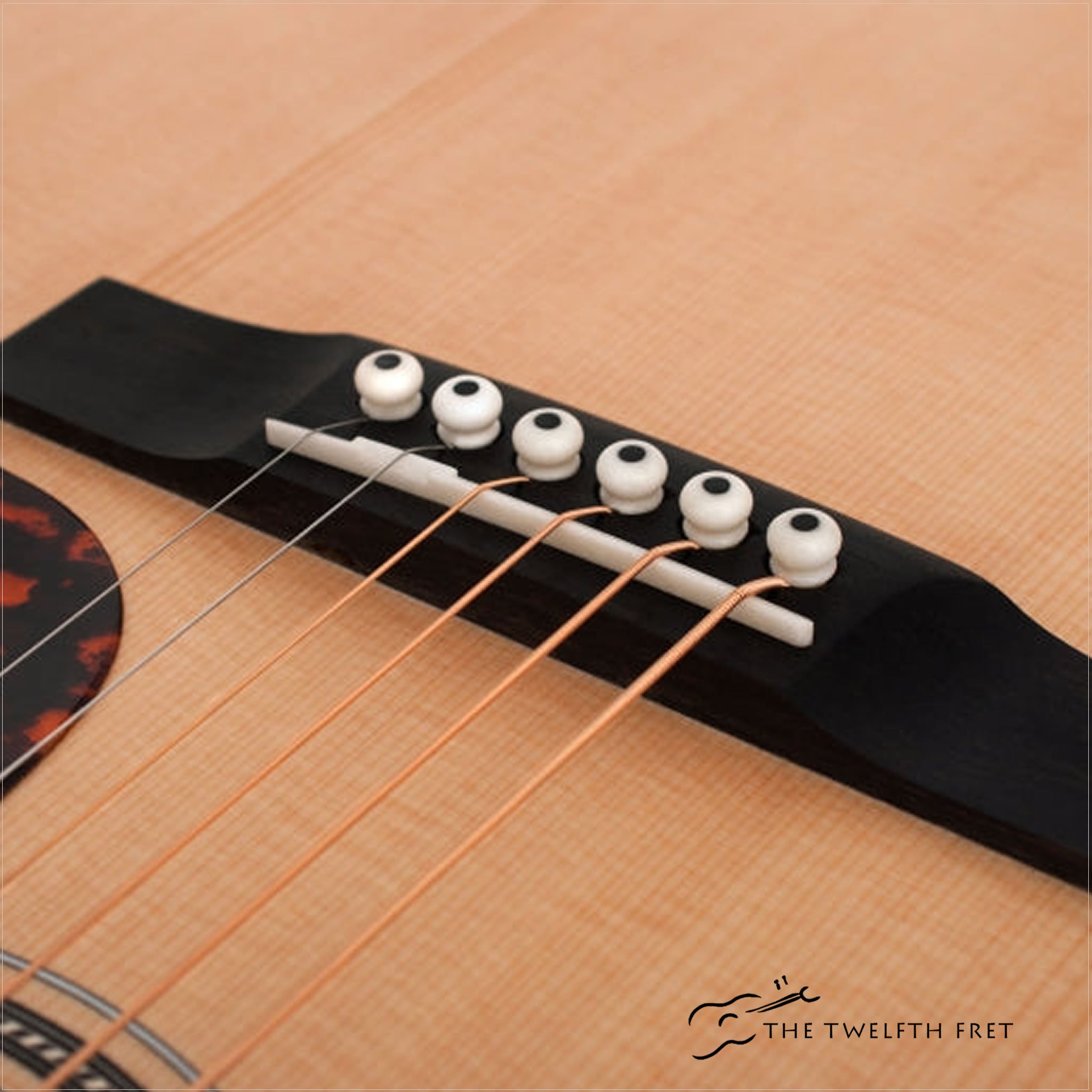 Larrivee OM-03 Recording Series - The Twelfth Fret