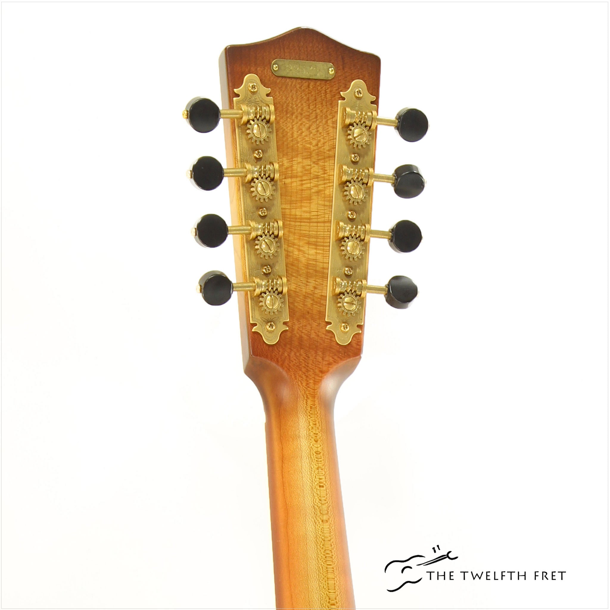 National RM1 Resophonic Mandolin - The Twelfth Fret