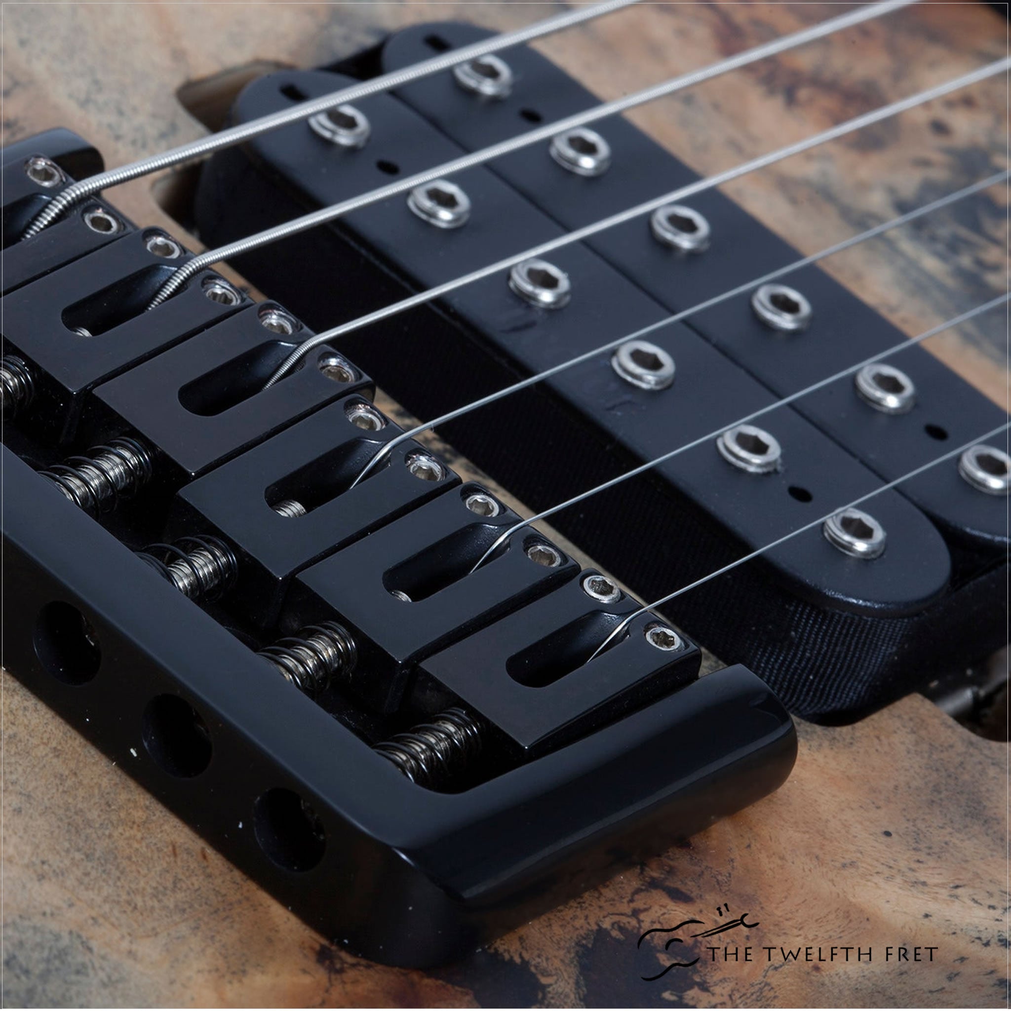 Schecter Reaper-6 Electric Guitar - The Twelfth Fret