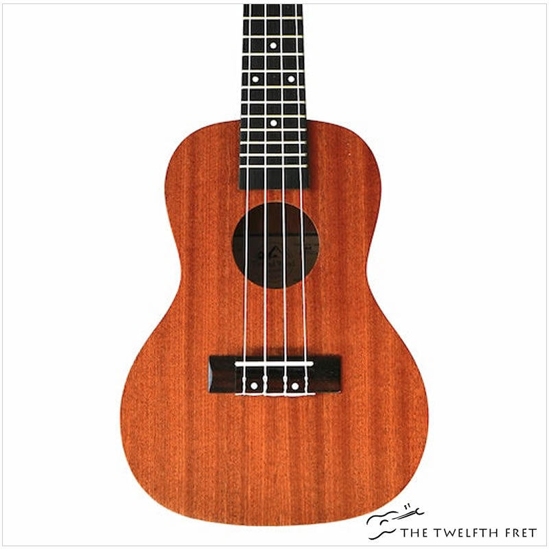 Twisted Wood Tyro Concert Ukulele